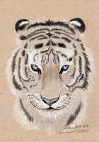 White Tiger